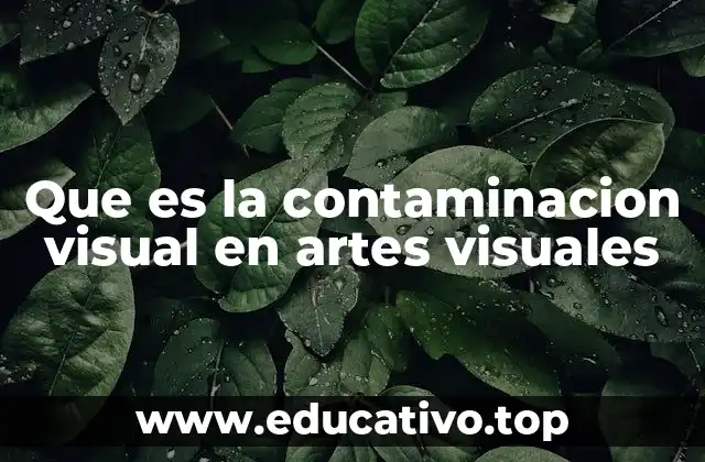 Que es la contaminacion visual en artes visuales
