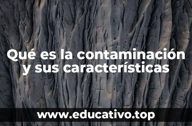 Causas y fuentes de la contaminación ambiental