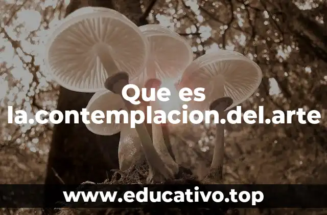 La conexión entre el observador y la obra