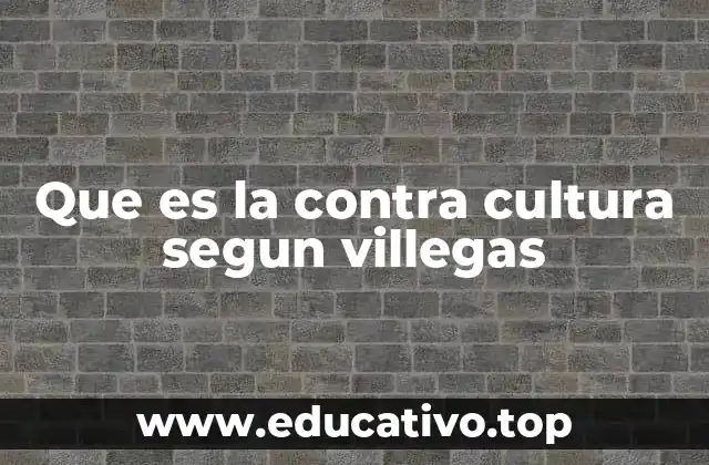 Que es la contra cultura segun villegas