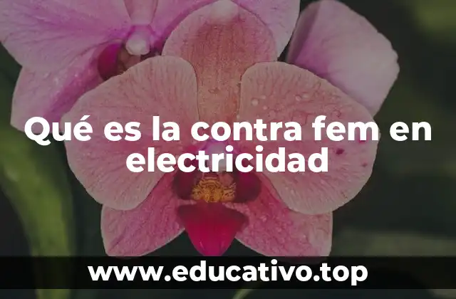 Qué es la contra fem en electricidad