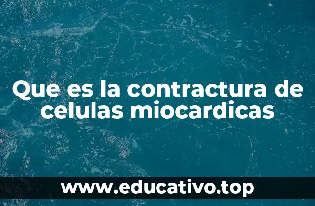 Que es la contractura de celulas miocardicas