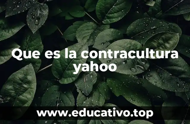 Que es la contracultura yahoo