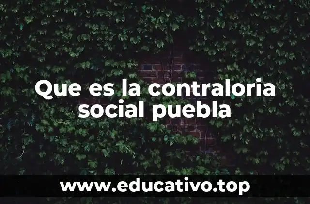 Que es la contraloria social puebla