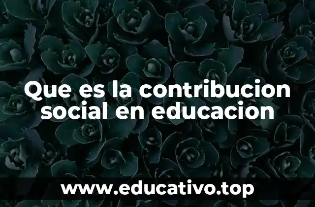 Que es la contribucion social en educacion