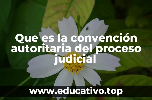 Que es la convención autoritaria del proceso judicial