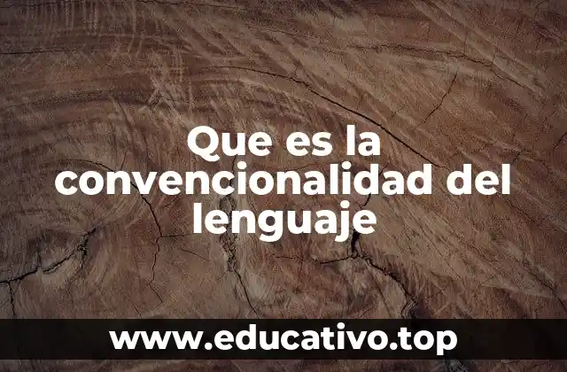 Que es la convencionalidad del lenguaje