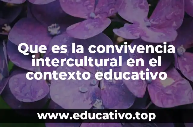 Que es la convivencia intercultural en el contexto educativo