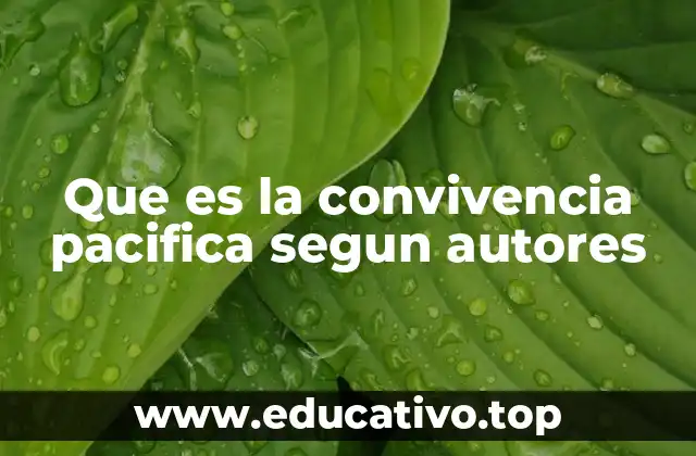 Que es la convivencia pacifica segun autores