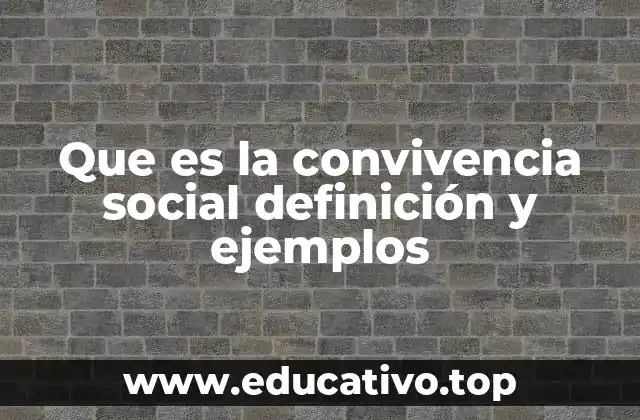 Que es la convivencia social definición y ejemplos