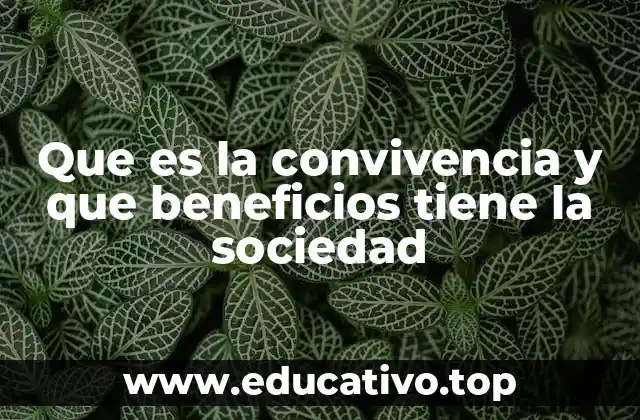 Que es la convivencia y que beneficios tiene la sociedad