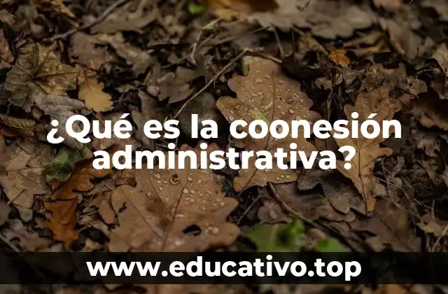 ¿Qué es la coonesión administrativa?