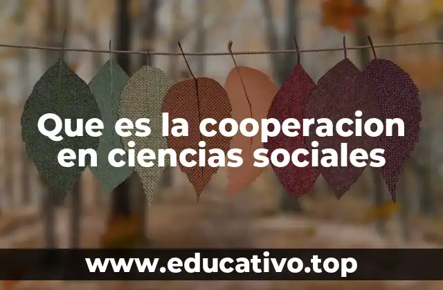 Que es la cooperacion en ciencias sociales