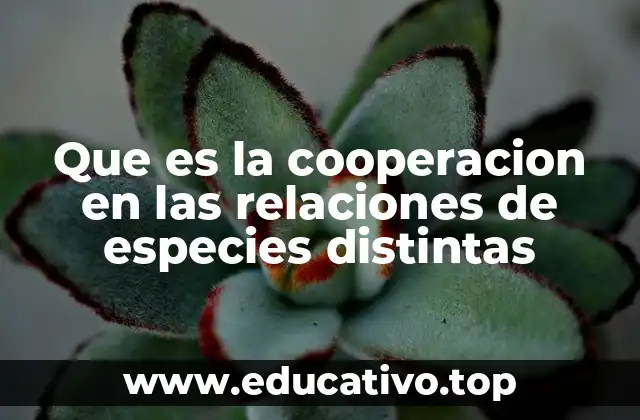 Que es la cooperacion en las relaciones de especies distintas