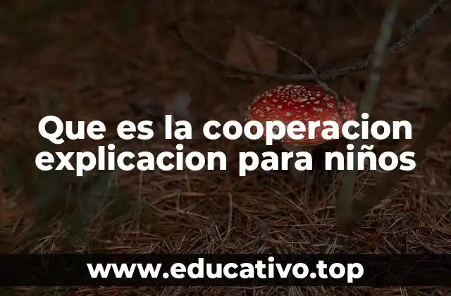 Que es la cooperacion explicacion para niños