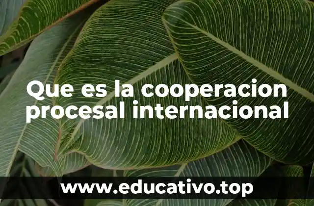 Que es la cooperacion procesal internacional