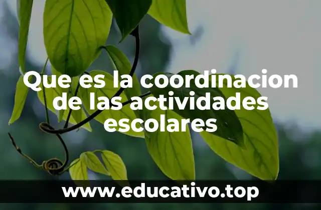 Que es la coordinacion de las actividades escolares