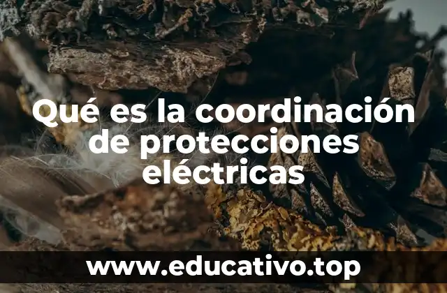 Qué es la coordinación de protecciones eléctricas