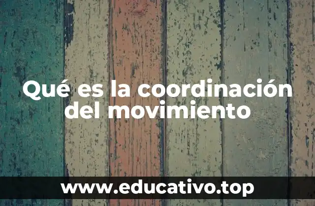 Qué es la coordinación del movimiento