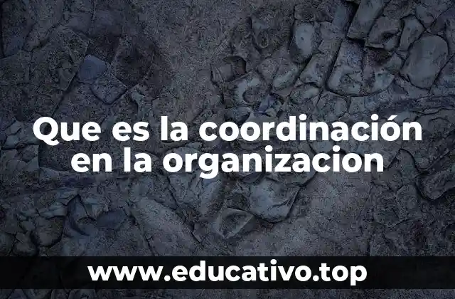Que es la coordinación en la organizacion