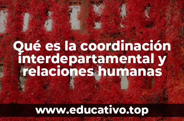 Qué es la coordinación interdepartamental y relaciones humanas