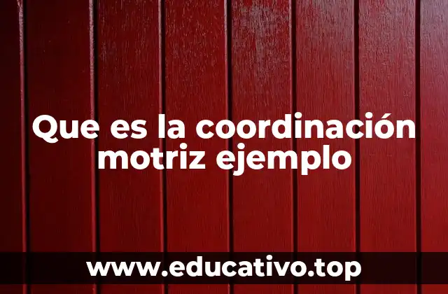 Que es la coordinación motriz ejemplo