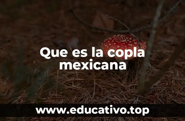 Que es la copla mexicana