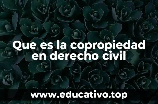 Que es la copropiedad en derecho civil