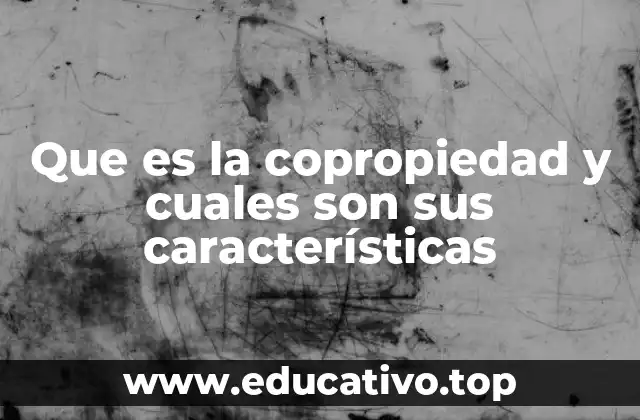 Que es la copropiedad y cuales son sus características