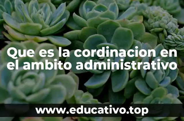 Que es la cordinacion en el ambito administrativo