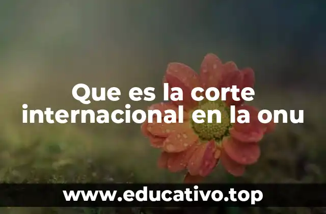 La importancia de la corte en el sistema internacional