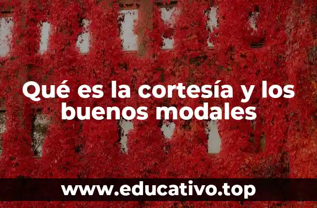 Qué es la cortesía y los buenos modales