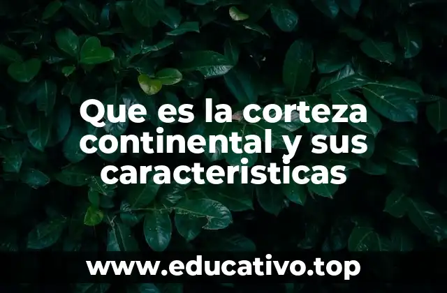 Que es la corteza continental y sus caracteristicas