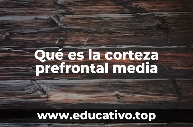 Qué es la corteza prefrontal media