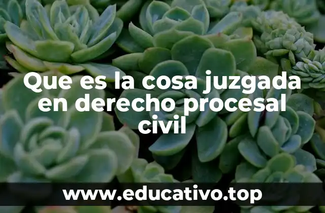 Que es la cosa juzgada en derecho procesal civil