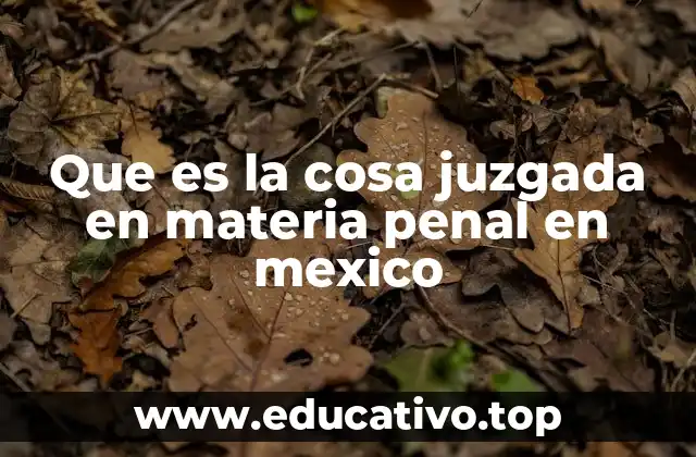 Que es la cosa juzgada en materia penal en mexico