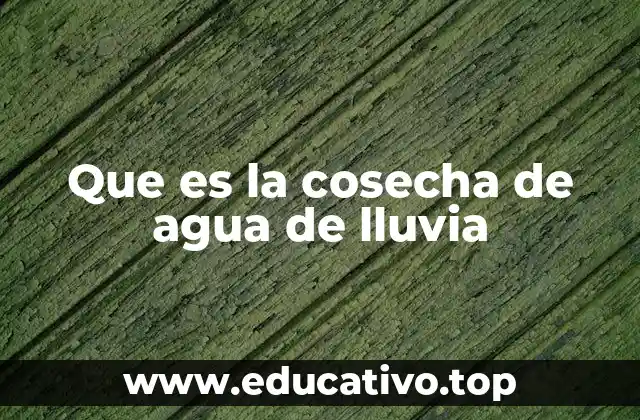 Que es la cosecha de agua de lluvia