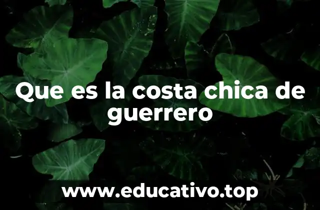 Que es la costa chica de guerrero