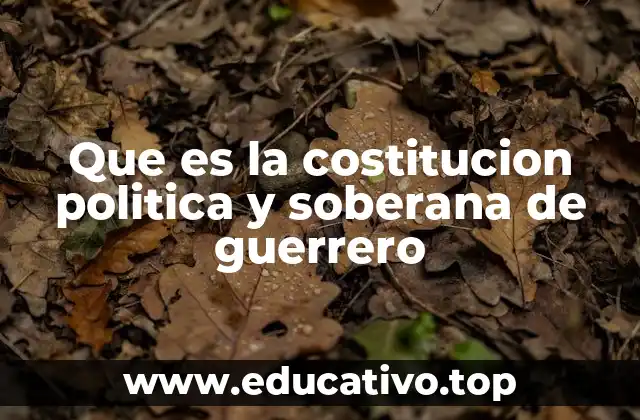 Que es la costitucion politica y soberana de guerrero