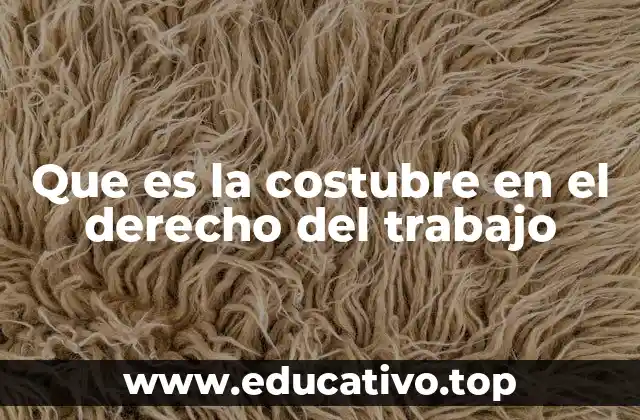Que es la costubre en el derecho del trabajo
