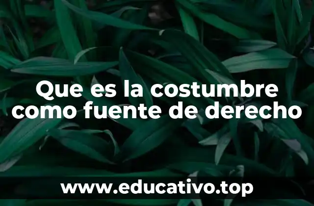Que es la costumbre como fuente de derecho