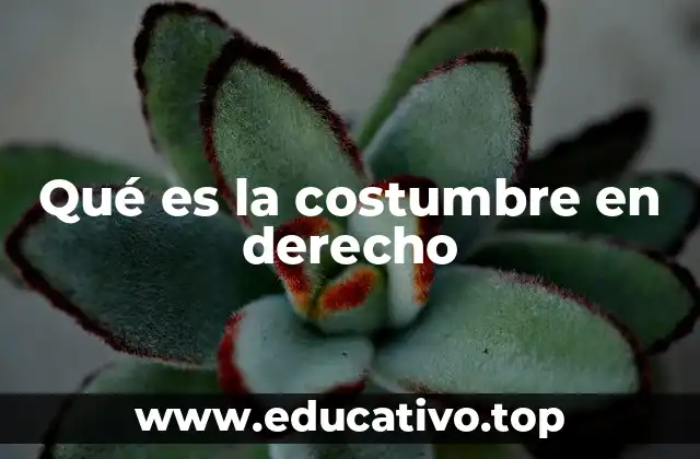 Qué es la costumbre en derecho
