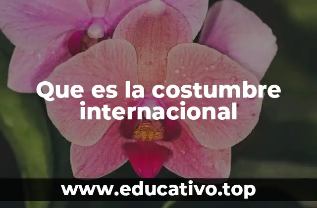 Que es la costumbre internacional