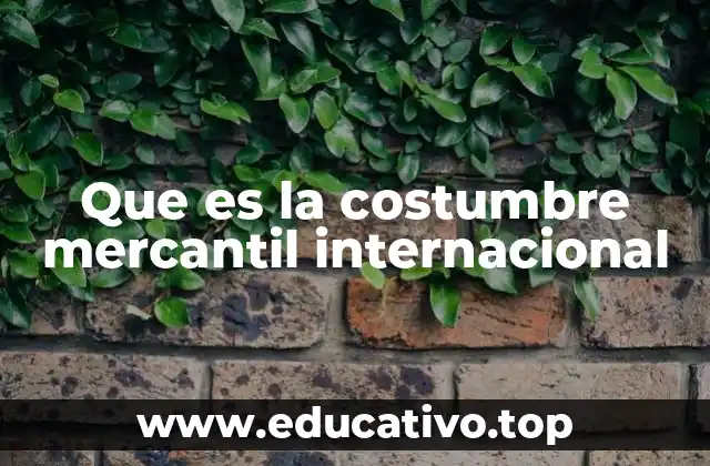 Que es la costumbre mercantil internacional