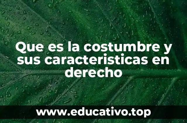 Que es la costumbre y sus caracteristicas en derecho
