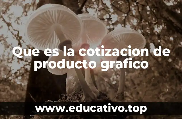 Que es la cotizacion de producto grafico