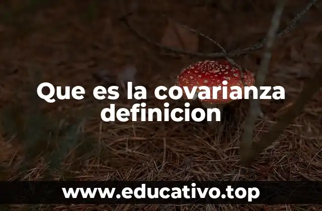 La relación entre variables y el análisis estadístico