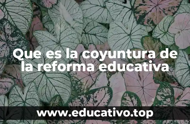 Que es la coyuntura de la reforma educativa