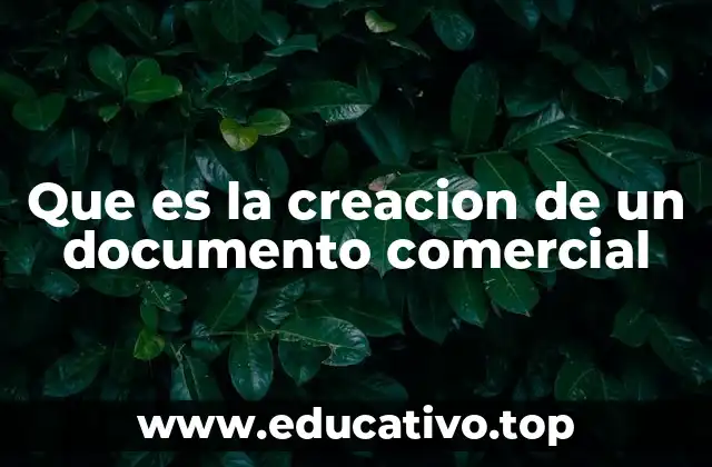 Que es la creacion de un documento comercial