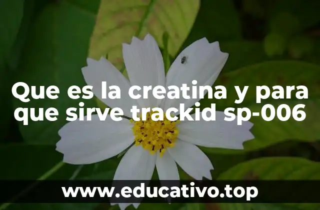 Que es la creatina y para que sirve trackid sp-006